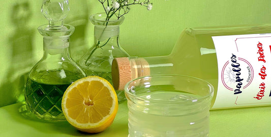 Cocktails low alcool : le plaisir sans excès, la tendance qui s’impose